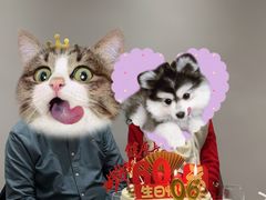 -Dark Horse·黑马蛋糕·低脂·低糖淡奶(金匙望湖大厦店)