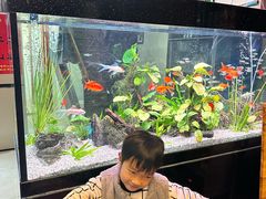-贵州人家·酸汤火锅·20年老字号