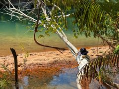 -海南热带雨林国家公园吊罗山景区
