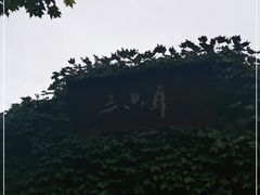 -三只耳火锅(宽窄巷子店)