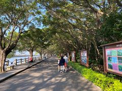 -大湾区中央湿地公园