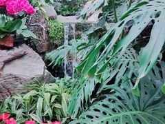 -郑州植物园