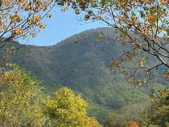 -塔川景区