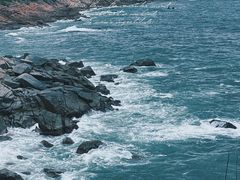 -广东惠东海龟国家级自然保护区