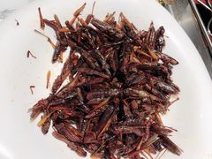 -AK47烤羊腿串吧(柳浪家园店)