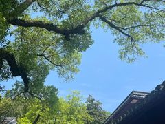 -西泠印社