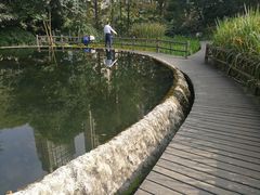 -成都市活水公园