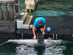 -悉尼海洋生物水族馆