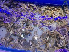-澜悦港海鲜体验主题餐厅