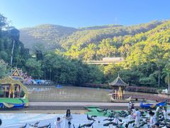 -西双版纳原始森林公园
