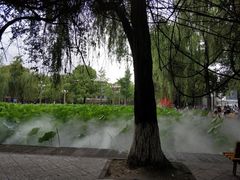 -四川大学(望江校区)