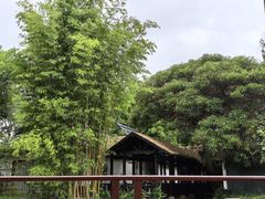 -抚仙湖万达文华酒店