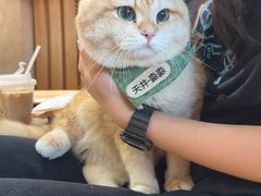 -天井·丑面包搭咖啡