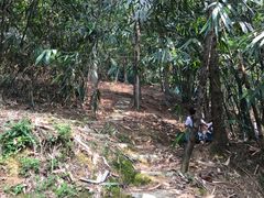 -清泉湾生态旅游度假区