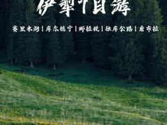 -赛里木湖风景名胜区