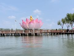 -白洋淀风景区