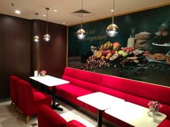 -哈根达斯(石家庄北国店)
