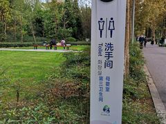 -昆山城市生态森林公园