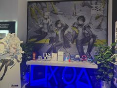 -Sony Store 索尼(上海淮海中路店)