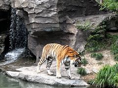 -宁波野生动物园