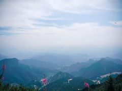 -白草畔自然风景区