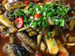 -老杨砂锅鱼庄