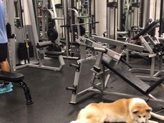 -YCHL Studios健身工作室(市二宫店)