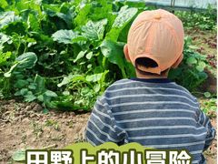 -甜心庄园·甜心草莓采摘园(西青中北店)