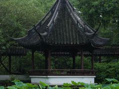 -上海醉白池公园