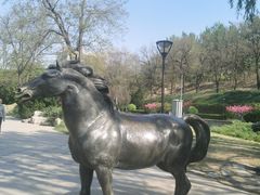 -元大都城垣遗址公园