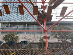 -中国福利会少年宫