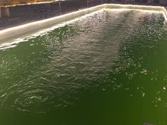 -DGE季风钓虾营地·团建·聚会