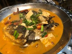 -船夫鱼锅(衢江路店)