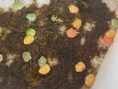 -山东柏宁水族批发广场