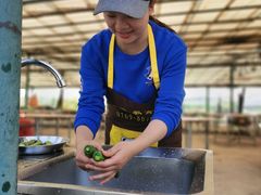 -麻涌飞鸭开心农场