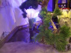 -绿茶餐厅(千岛湖银泰城店)