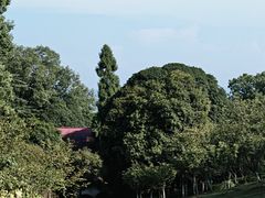 -南山植物园