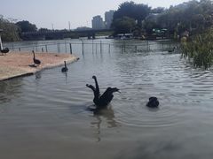 -琅岐红光湖公园