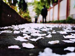 -永乐路-路侧停车场