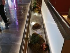 -俏江南天津时尚曲艺主题餐厅(马场道店)