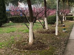 -南京信息职业技术学院