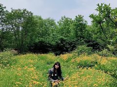 -南京市江宁方山