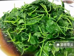 酒酿草头-海金滋(陕西南路店)