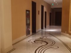 -电谷雅阁国际大酒店
