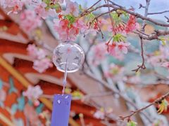 -宝墨园景区
