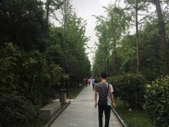 -唐城墙遗址公园