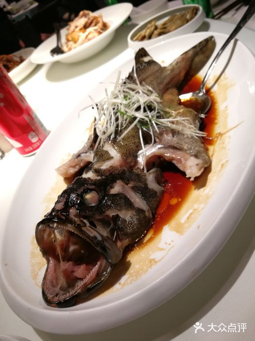 鱼乐轩·俄罗斯海鲜直供餐厅(群力店)清蒸石斑鱼图片