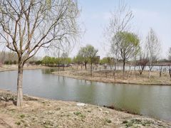 -东郊湿地公园