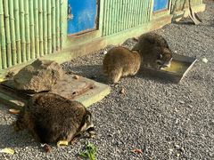 -秦皇岛野生动物园