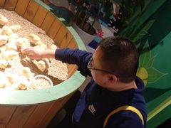 -萌宠奇缘